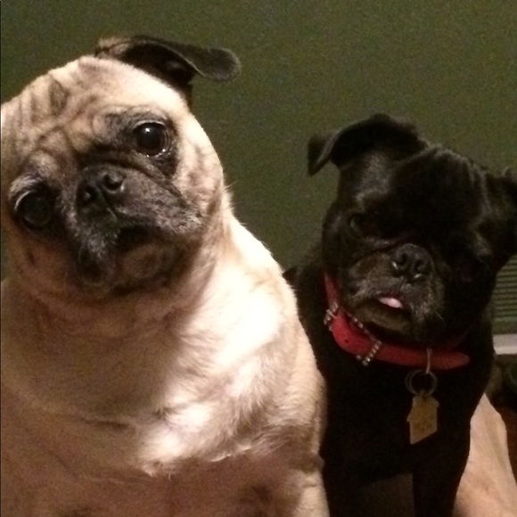 Meet your Posher, Tina - Picture 12 of 16